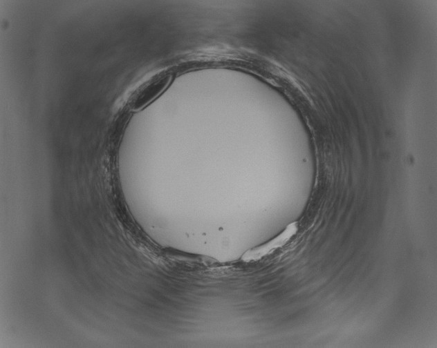 X0000072971304200608211312