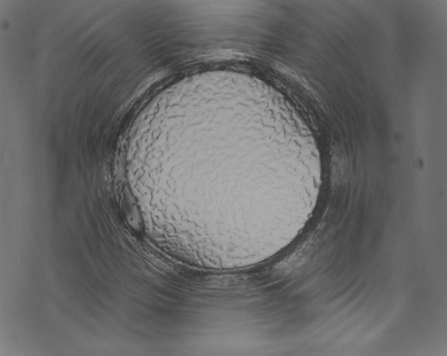 X0000072971305200608211312