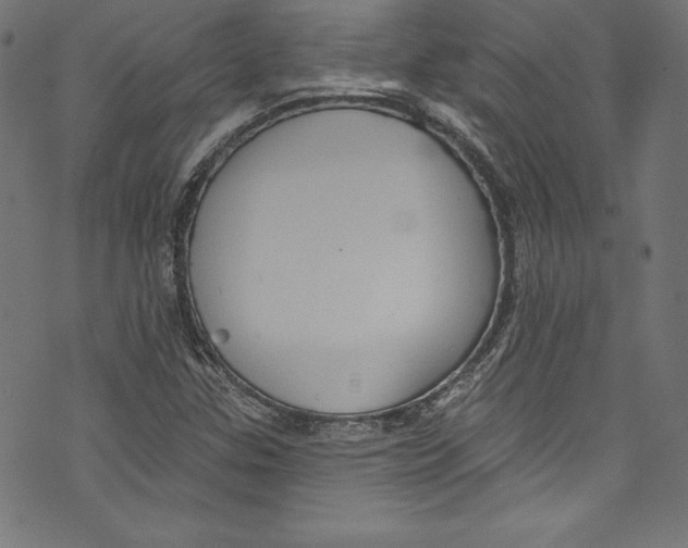 X0000072971307200608211312