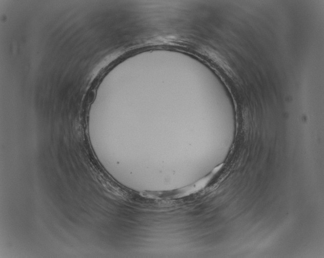 X0000072971308200608211312