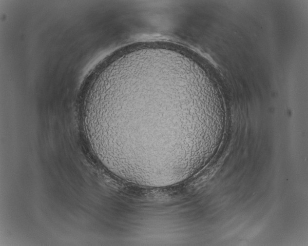 X0000072971311200608211312