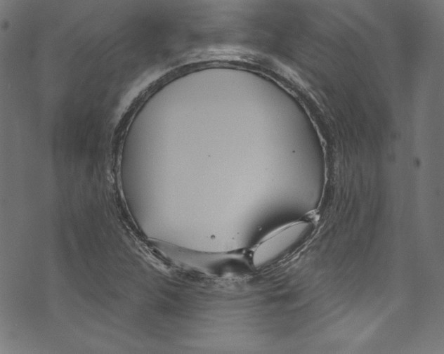 X0000072971312200608211312