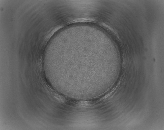 X0000072971313200608211312