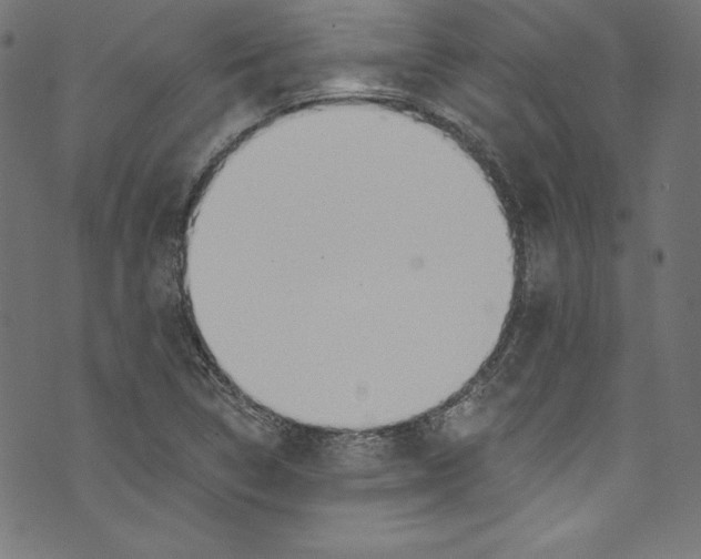 X0000072971314200608211312