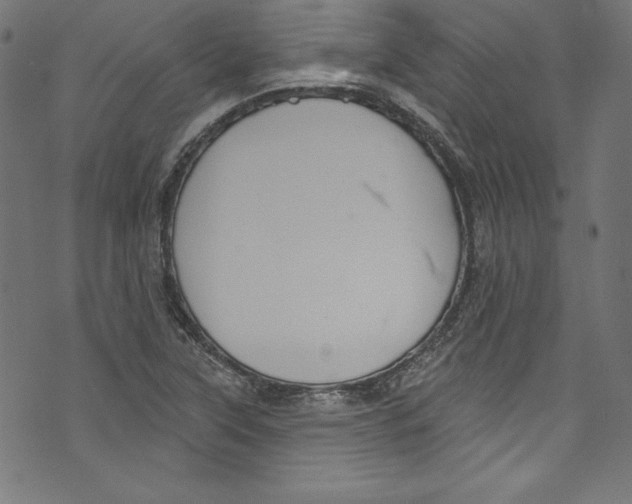 X0000072971315200608211312