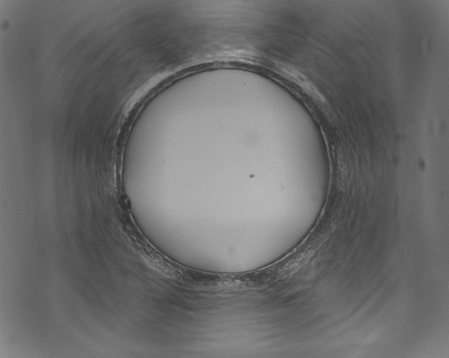 X0000072971316200608211312