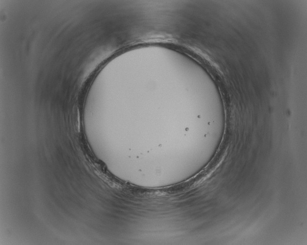 X0000072971317200608211312