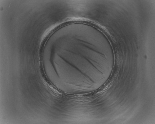 X0000072971319200608211312