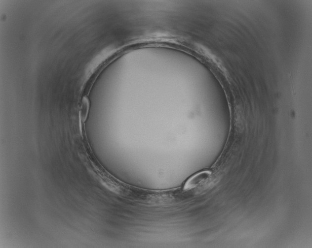 X0000072971320200608211312