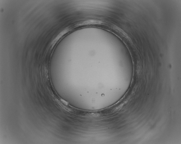 X0000072971321200608211312