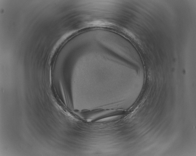 X0000072971323200608211312