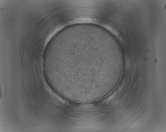 X0000072971325200608211312