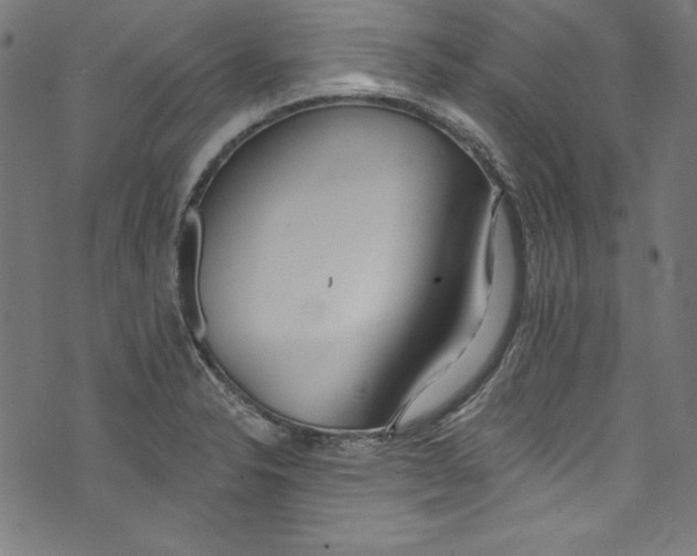 X0000072971326200608211312