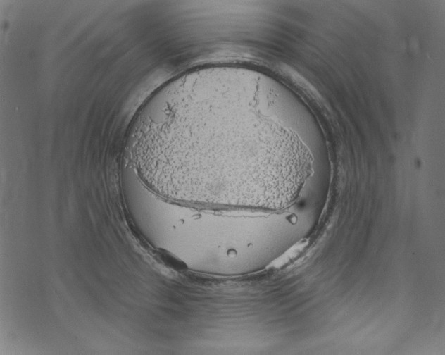 X0000072971329200608211312