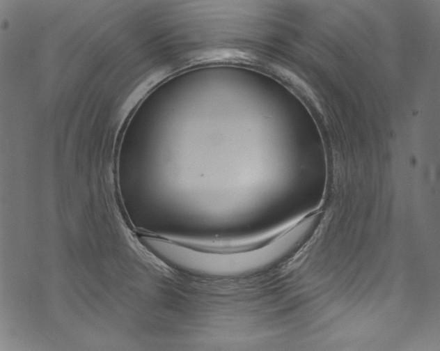 X0000072971330200608211312