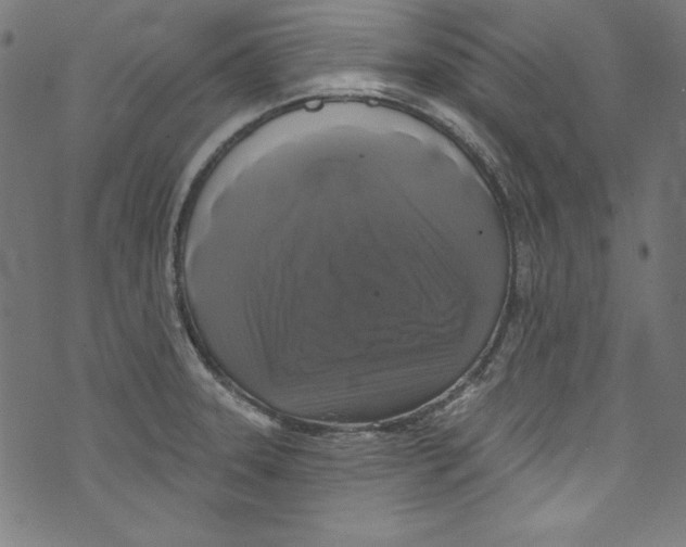 X0000072971331200608211312