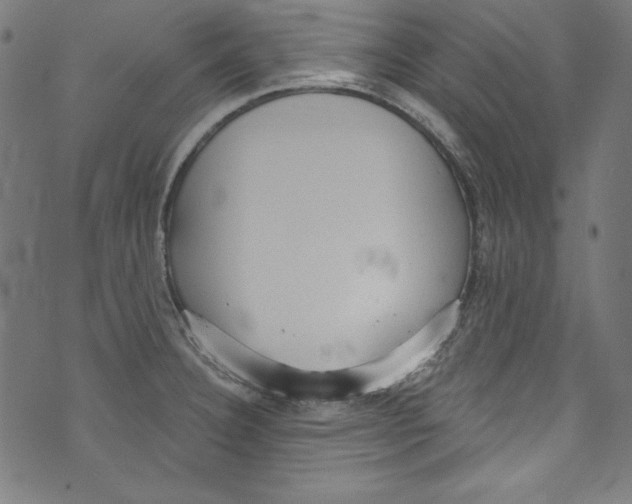 X0000072971332200608211312