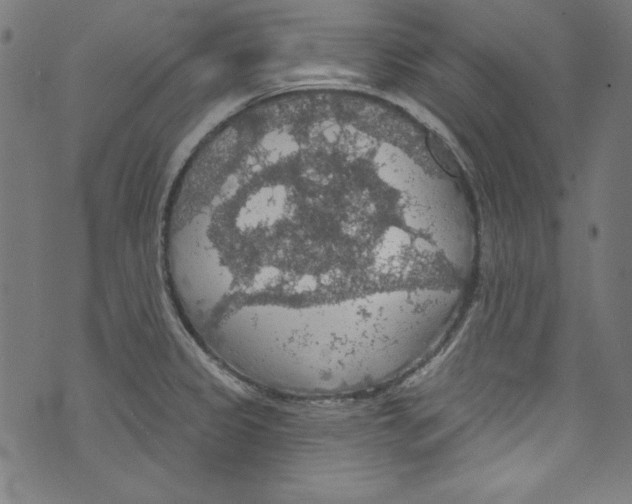 X0000072971333200608211312