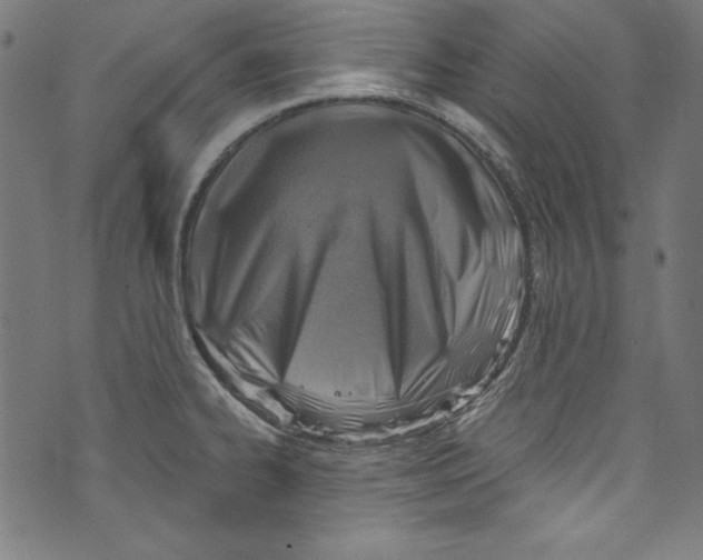 X0000072971334200608211312