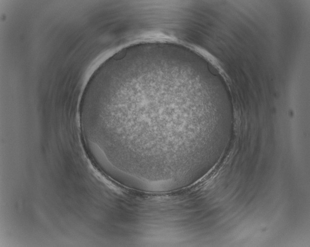 X0000072971335200608211312