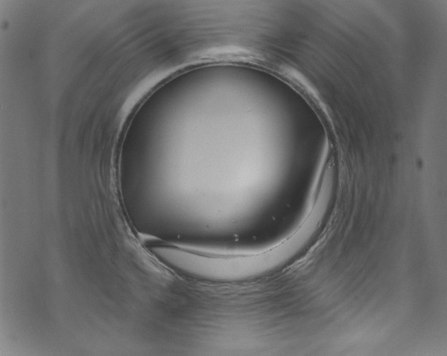 X0000072971336200608211312