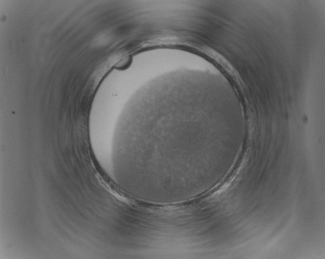 X0000072971337200608211312