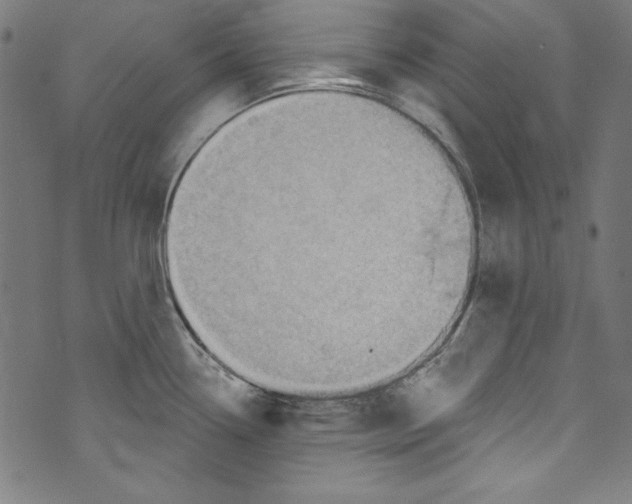 X0000072971338200608211312