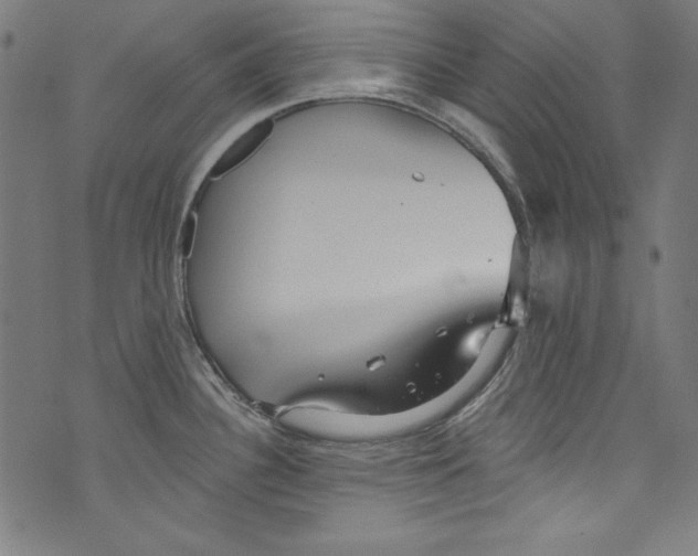 X0000072971340200608211312