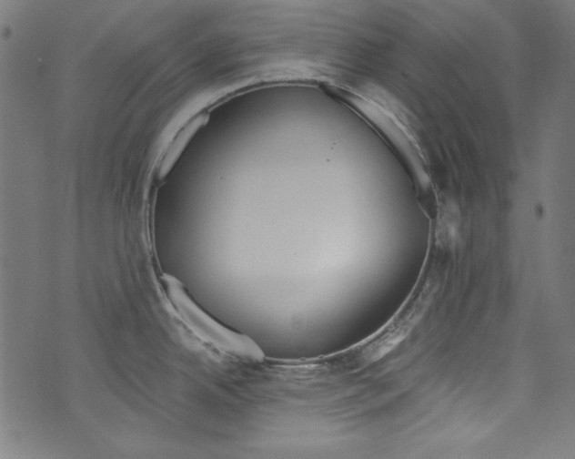 X0000072971342200608211312