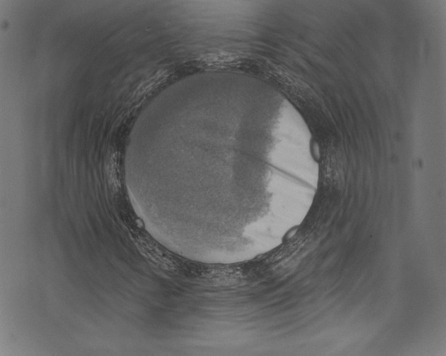 X0000072971346200608211311