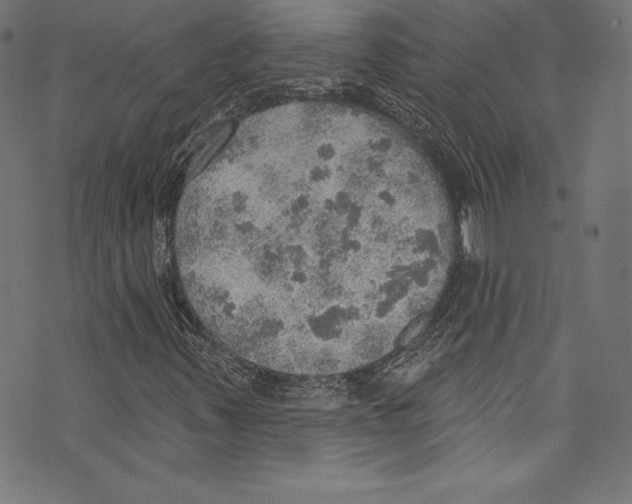 X0000072971347200608211311