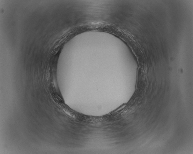 X0000072971349200608211311