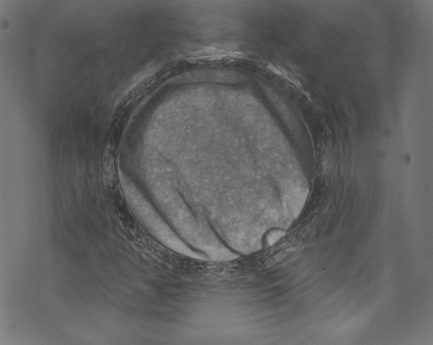 X0000072971350200608211311