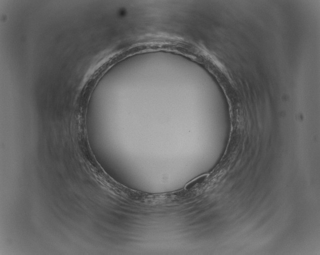 X0000072971352200608211311