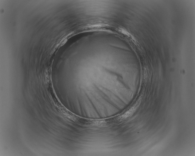 X0000072971353200608211311