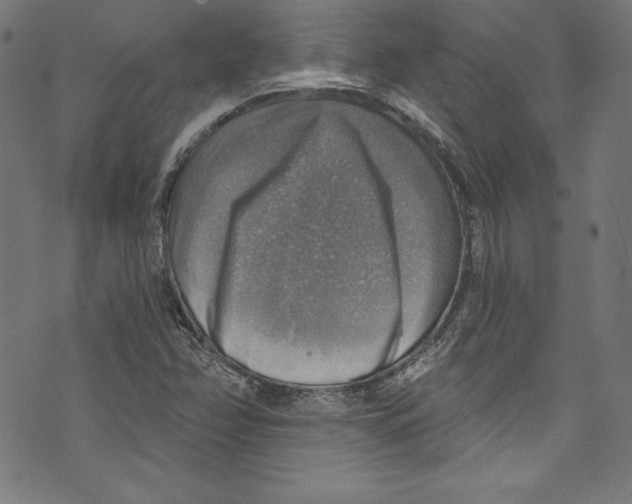 X0000072971358200608211311