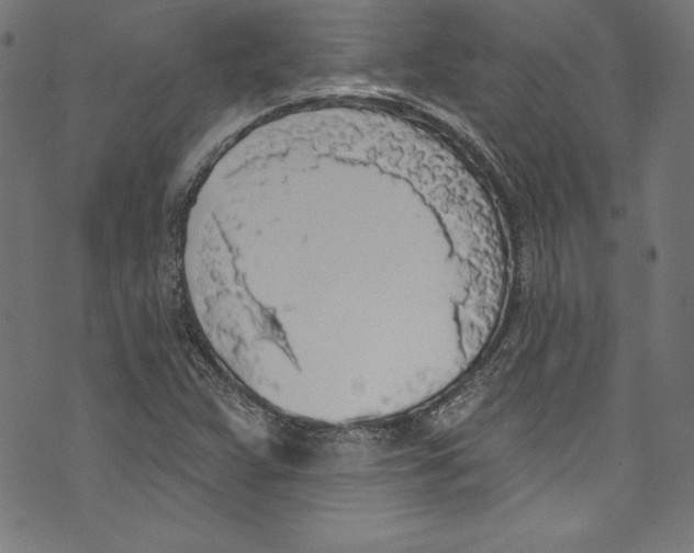 X0000072971359200608211311