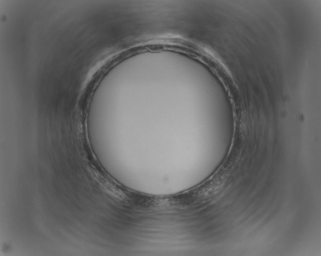 X0000072971360200608211311