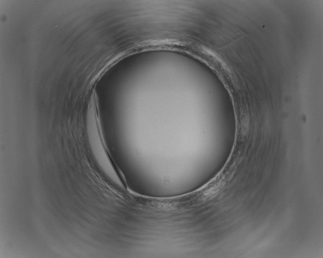 X0000072971361200608211311