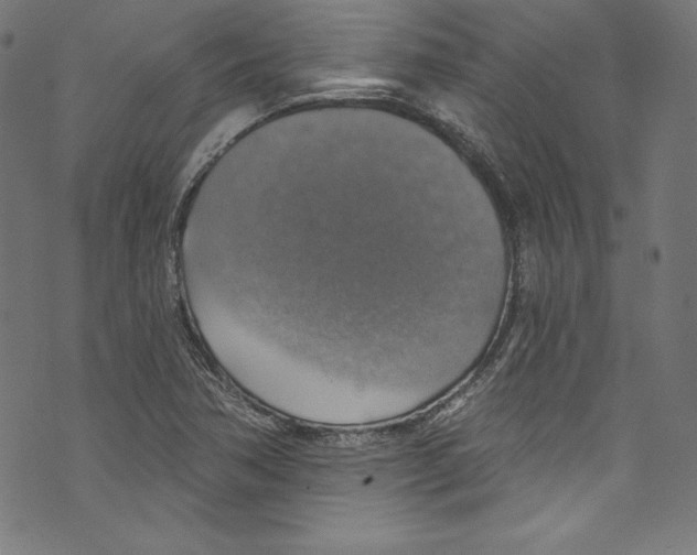 X0000072971362200608211311