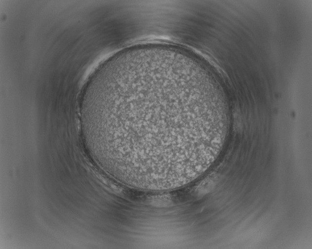 X0000072971363200608211311