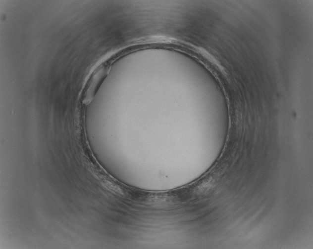 X0000072971364200608211311