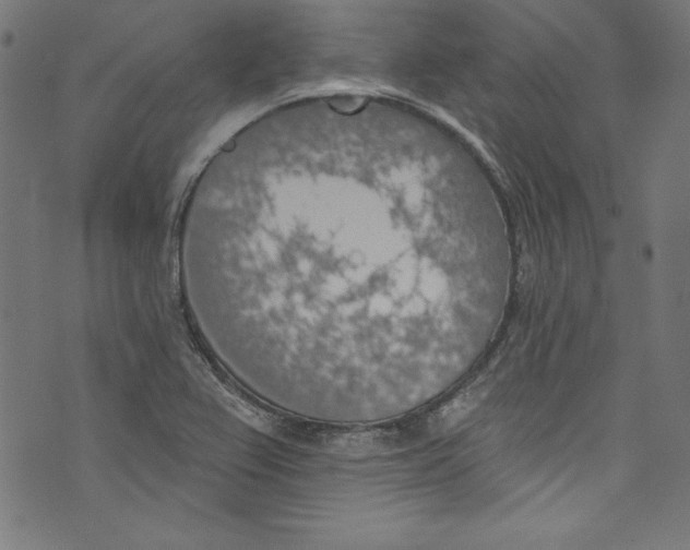 X0000072971367200608211311