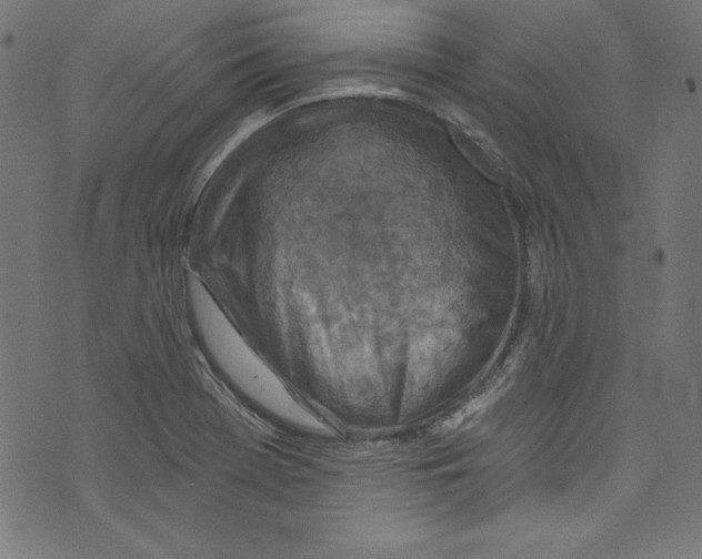 X0000072971369200608211311