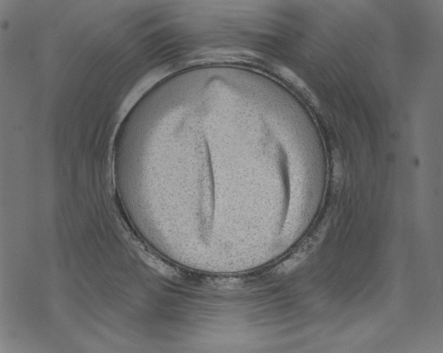 X0000072971370200608211311