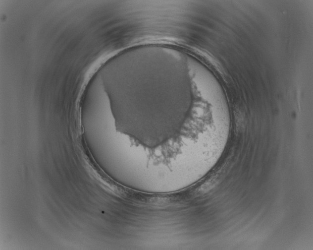 X0000072971371200608211311