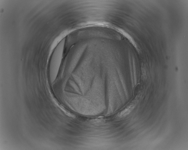 X0000072971373200608211311