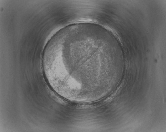 X0000072971374200608211311