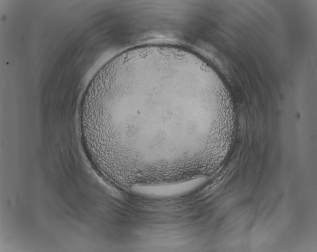 X0000072971375200608211311