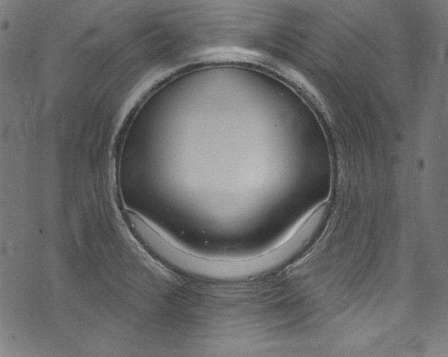 X0000072971376200608211311